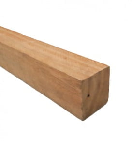 Clavadores de Saligna